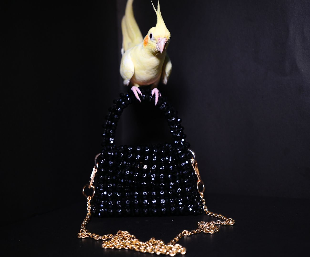 Elite Carries Black Crystal Handmade Bag – A Timeless and Elegant Accessory for Special Occasions