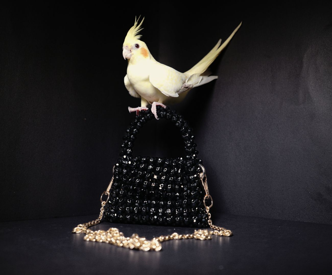 Elite Carries Black Crystal Handmade Bag – Handcrafted Elegance for Weddings and Gifting