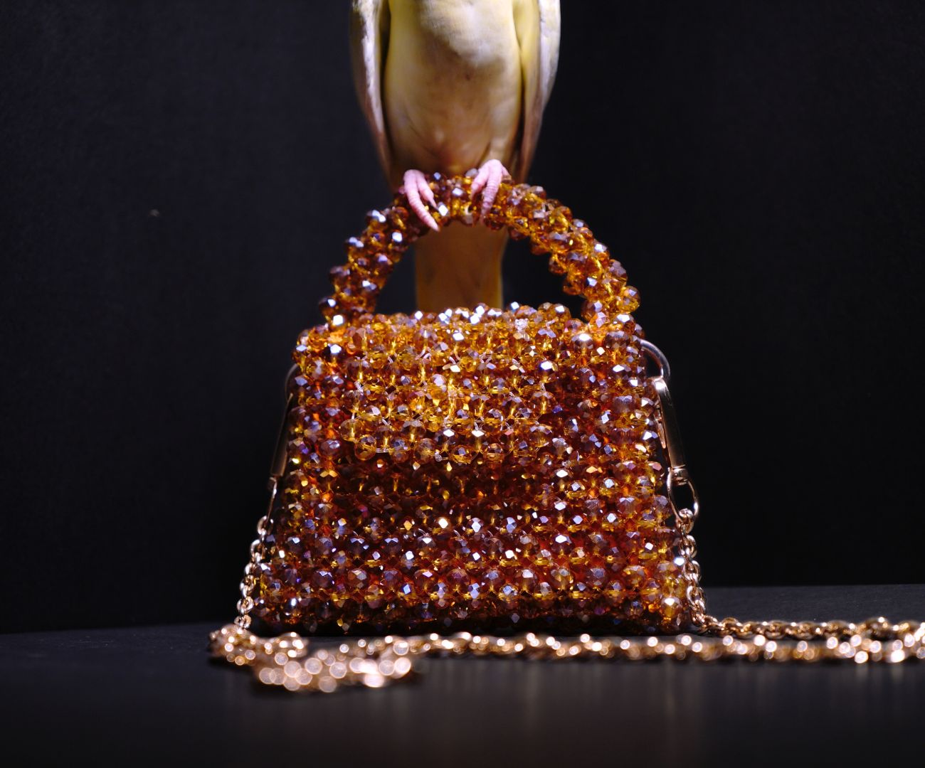 Golden Crystal Bridal Crossbody Bag by Elite Carries – Adds Elegance and Sparkle to Your Wedding Day